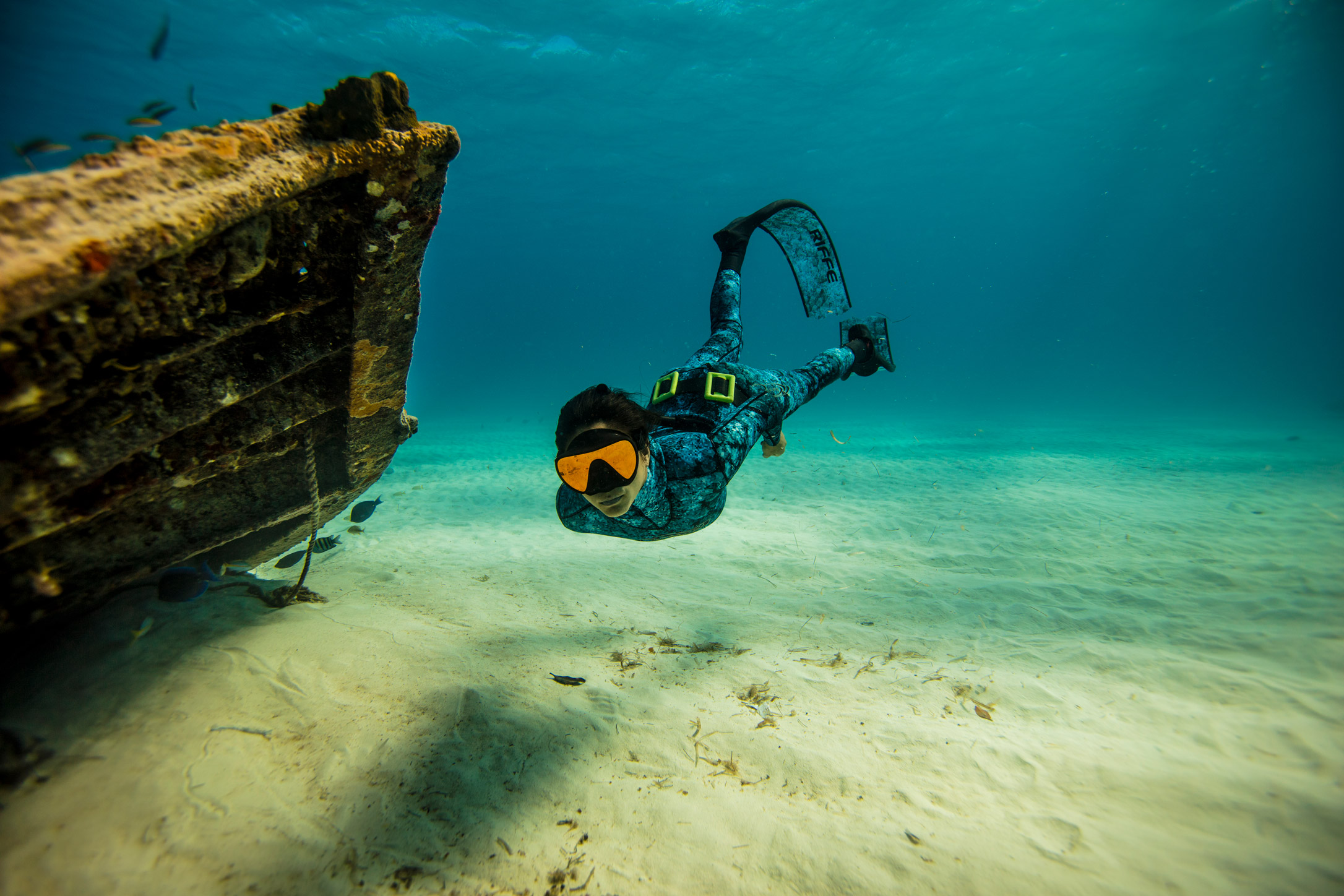 lentic_diving_basic_freediver