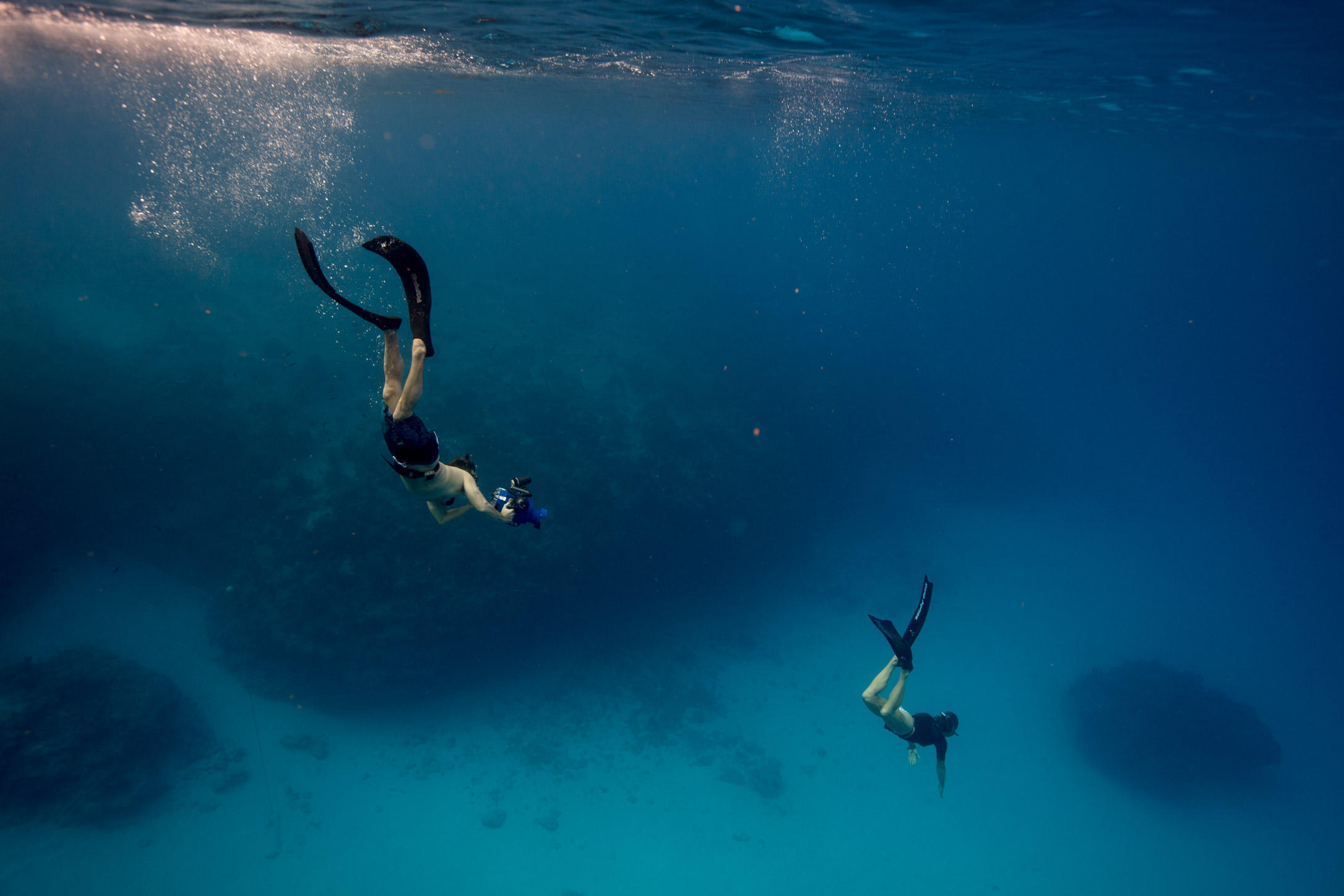 lentic_diving_freediver_coaching