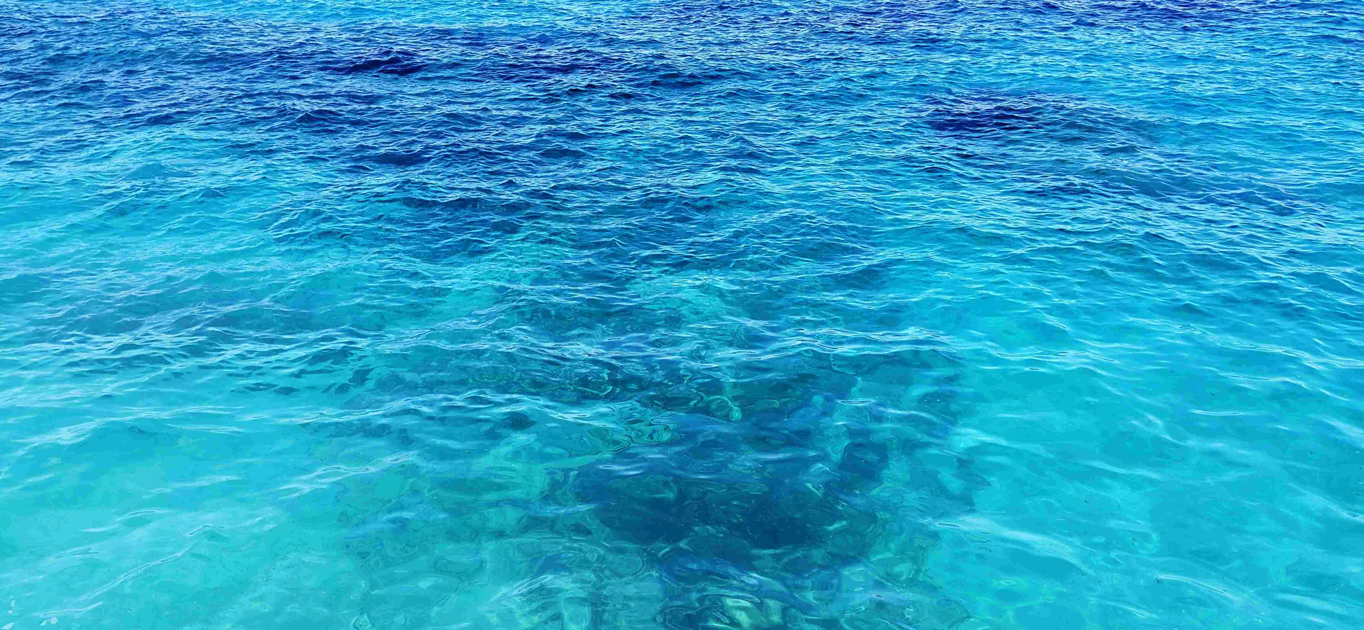 lentic_diving_inscription